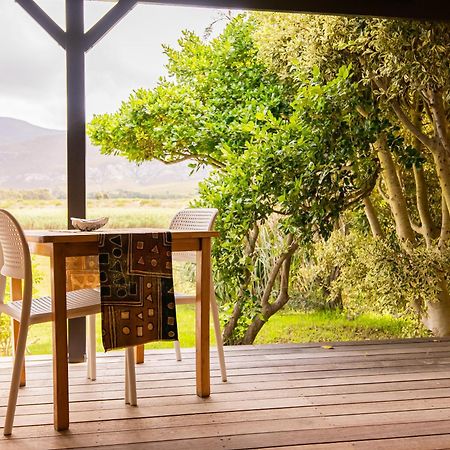 Springfontein River Lodge Stanford Exterior foto
