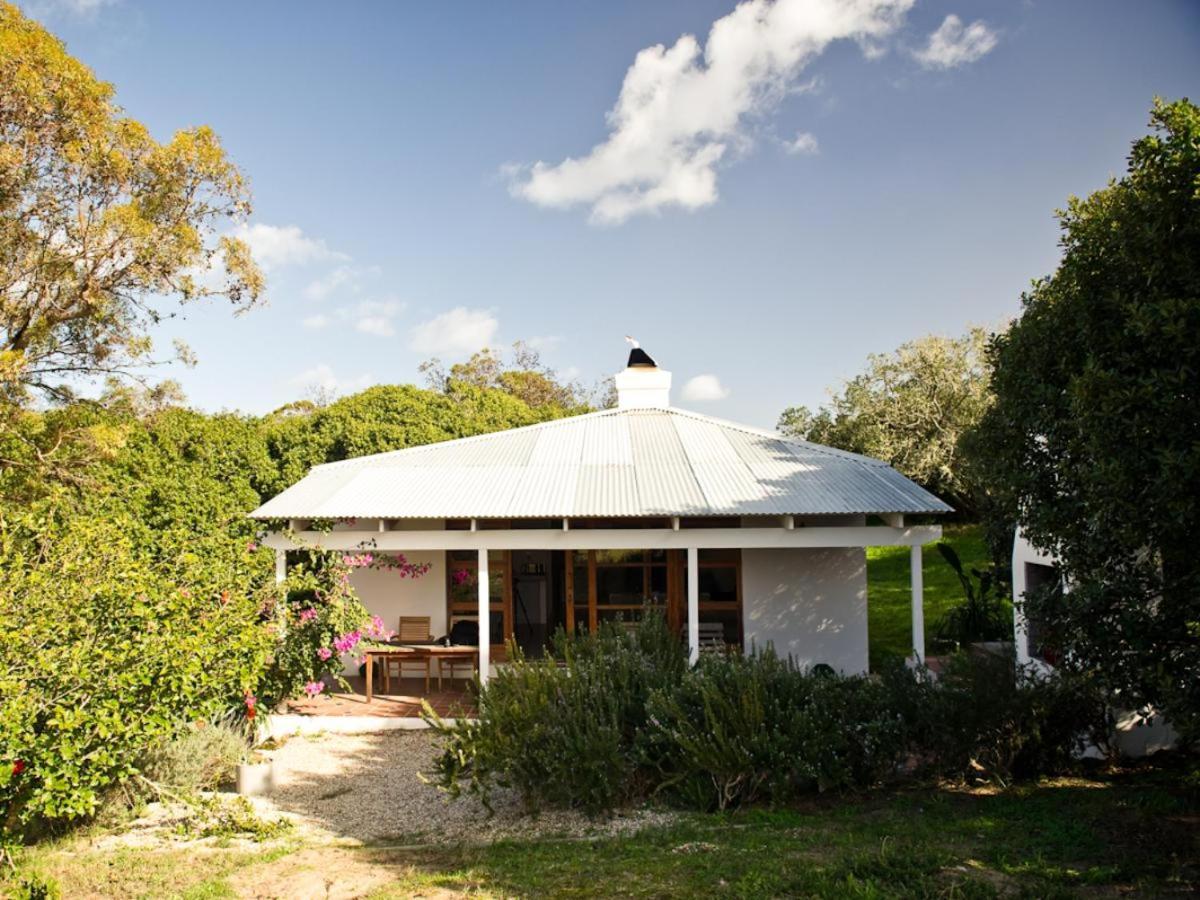 Springfontein River Lodge Stanford Exterior foto