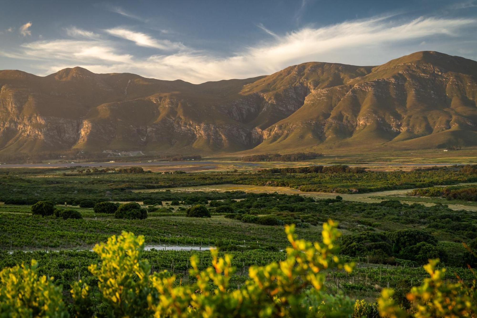 Springfontein River Lodge Stanford Exterior foto