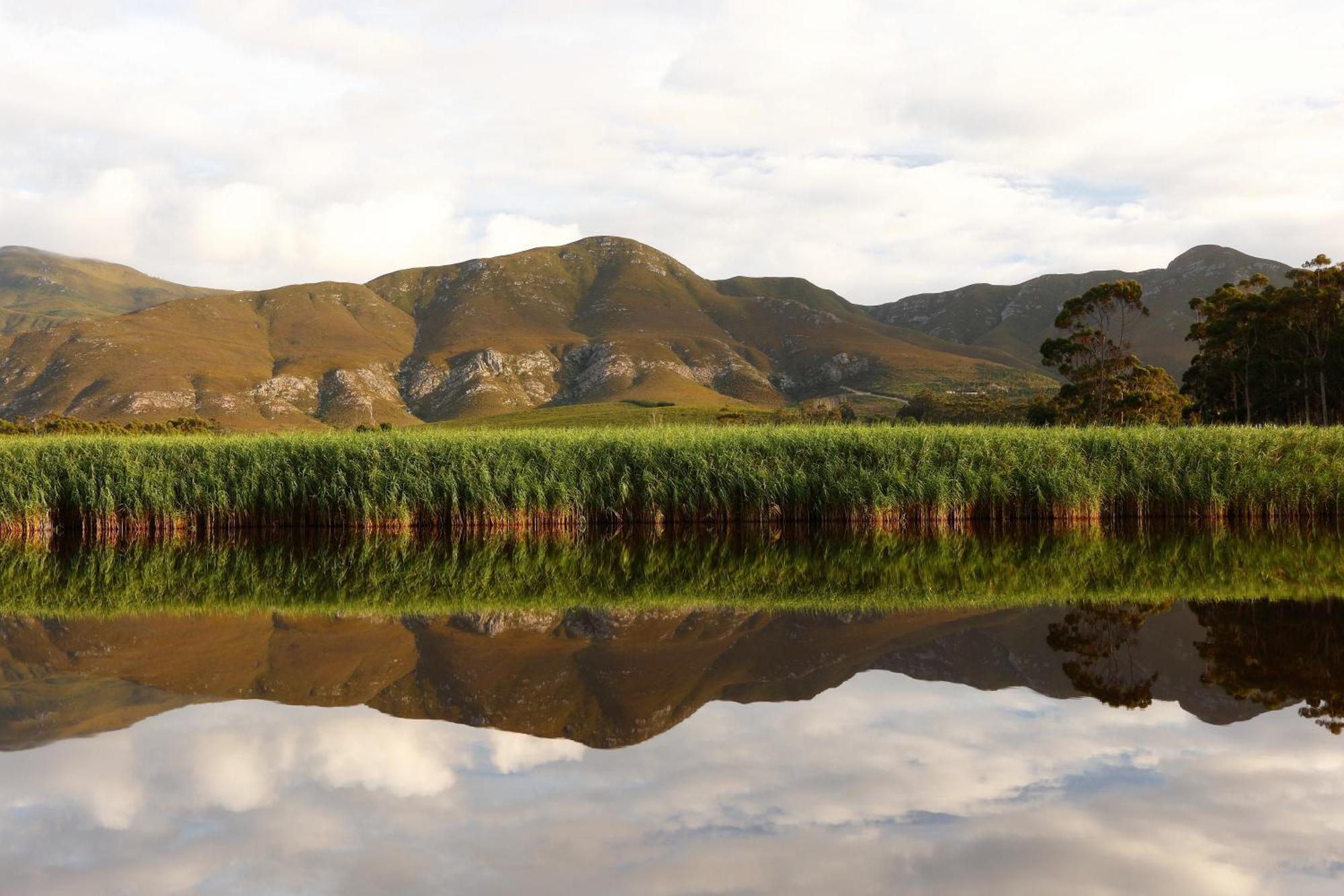 Springfontein River Lodge Stanford Exterior foto