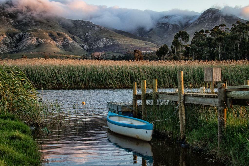 Springfontein River Lodge Stanford Zimmer foto